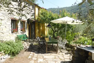 Image de Une maison d'artiste indépendante au milieu de l'oliveraie,