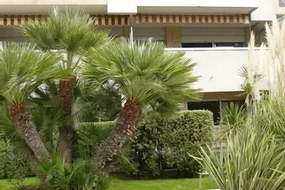 Image de Beau studio avec terrasse, près du centre ville, à 200 m de la mer avec garage.