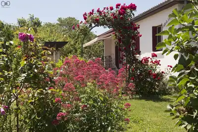 Image de Le Chant des Fleurs (Saint-Sulpice-la-Pointe)