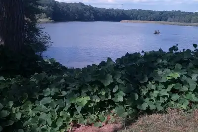 Image de Eastern Shore Get Away