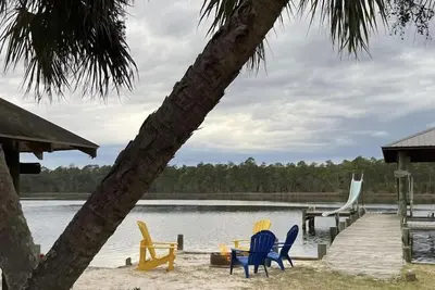 Image de Regardez les dauphins sur votre propre plage privée!