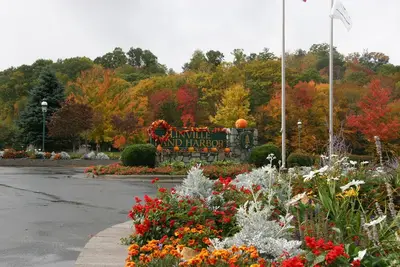 Image de Moose Head Lodge à Linville Land Harbour sur la vue sur le lac
