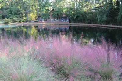 Image de Lakefront Lodge, Construit en 2010, privée, 5 Star Accommodation