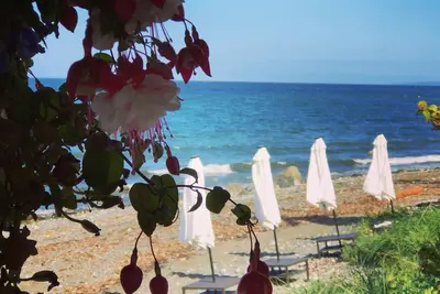 Image de Beachfront Cozy Duplex Cottage, Hot tub clam\/oyster Adult only