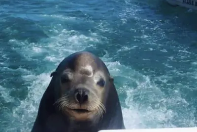 Image de Villa 1407-2 salle de bain Bd / 3