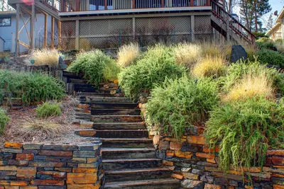 Image de Cabine spacieuse au bord du lac. À quelques pas de l'eau. Parfait pour les grandes familles.
