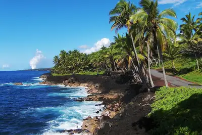 Image de Découvrez Hawaii sur un jardin botanique de 3 acres