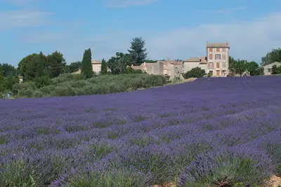 Image de Gite De Charme En Provence Entre Ventoux Et Luberon Maison Independante