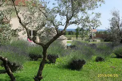 Image de Domaine bouteille en luberon: La Borie