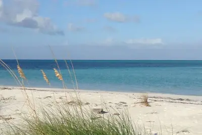 Image de Nouvelle maison au bord de la plage, 6 couchages: Kayak gratuit, vélos, pagaie: 2 min. marcher jusqu'à la plage