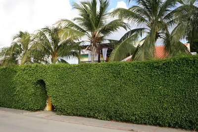 Image de Secure And Private Villa With Pool/Hot Tub Jacuzzi In Palm Beach Village