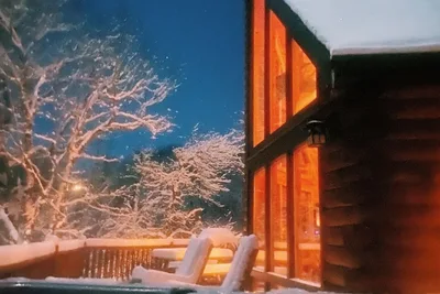 Image de Maison en rondins de style chalet / Superbe vue sur le lac avec glissade - Lost Moose Lodge