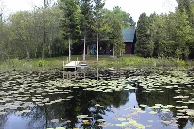 Image de Confort dans un environnement naturel