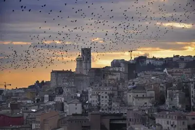 Image de Appartement en rez de jardin de villa pour deux couples ou couple avec enfants