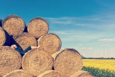 Image de La nature et la ferme Liebsch près de Berlin