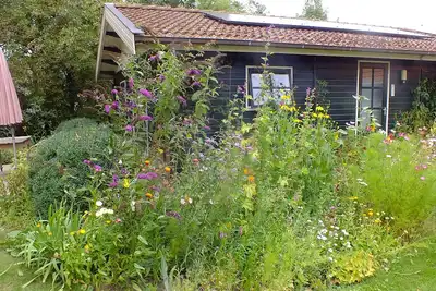 Image de \"Schwedenhaus\" confortable avec une belle vue, situé sur l'eau