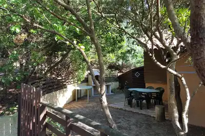 Image de Maison de vacances, venez profiter de l'ombre sous les pins