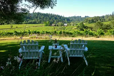 Image de Des vues inégalées à l'intérieur et sur ce vignoble de 3 hectares