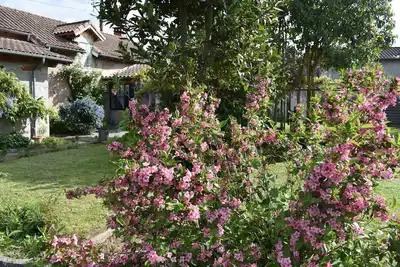 Image de La maison Molieres - avec jardin et parking privé
