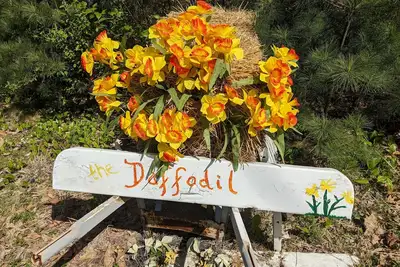 Image de L'Appartement Escapade Jonquille 1743