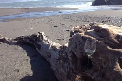 Image de Profitez des vacances à la plage \"Banana Belt\" à l'automne! Voir la vidéo!