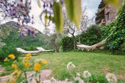 Image de Maison avec vue sur les oliviers, les noix et les lauriers.