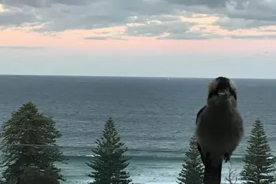 Image de Villa Blue Seas, vue magnifique sur la plage et l'océan