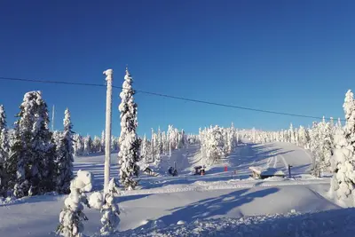 Image de Vuosselin Helmi