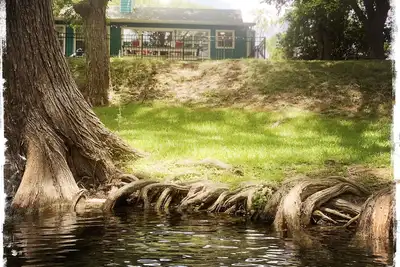 Image de Cypress Creek Waterfront, ruisseau alimenté par une source pour la baignade, la pêche et la détente.