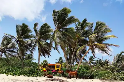 Image de Superbe Beach Front House, «plage privée» en face! Accès direct