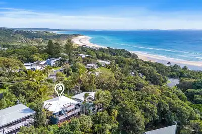 Palmes de cylindre - Point Lookout, Qld