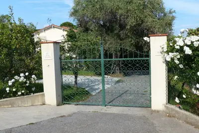 Image de Les roses blanches Cannes Mougins