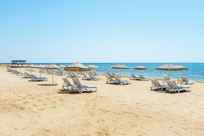 Image de 15% Off Nov & Dec: Superbe Penthouse Apt sur la plage privée; Gym et sauna entièrement équipés