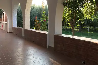 La ferme de la grand-mère parmi les orangers