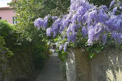 Image de Appartement 3 PIÈCES 6 CARACTÉRISTIQUES, En Quartier Calme Et DÉTENTE