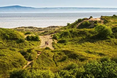 Image de Bungalow en bord de mer avec vue sur les dunes