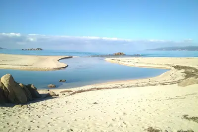 Image de T2 400 m plages du Valinco sur terrain arboré. Excellent rapport qualité prix! !