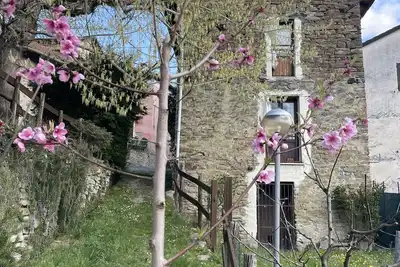 Image de Maison De Style De Monferrate En Pierre Dans Les Vignes