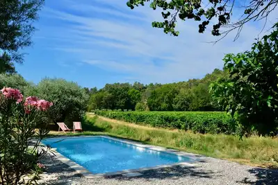 Image de Entre oliviers et vignes, près de Cotignac