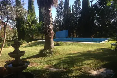 Image de maison de campagne parmi les arbres fruitiers