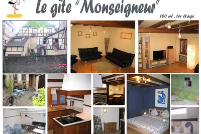 Gîte spacieux (100 m2) et confortable pour 2 à 8 personnes (Obernai, Alsace)