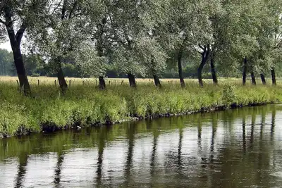 Image de Romantique location indépendante avec terrasse dans ferme à cour carrée classée