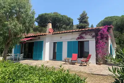 Image de Maison avec vue mer, une oasis et pourtant centrale, grand jardin clos, WiFi