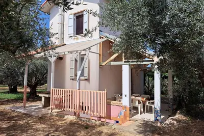 Image de Maison de vacances individuelle au milieu d'une oliveraie, calme et idyllique