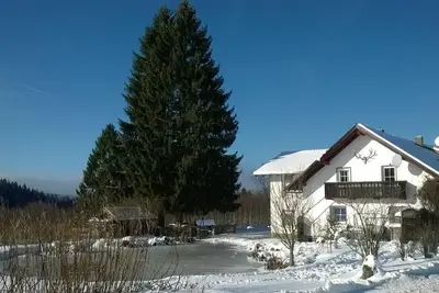 Image de Appartement de vacances Haidmühle pour 1 - 4 personnes avec 2 chambres à coucher - Appartement de va