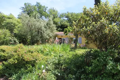 Image de Gite rural au pied du Luberon avec vue superbe sur la montagne et les vignobles