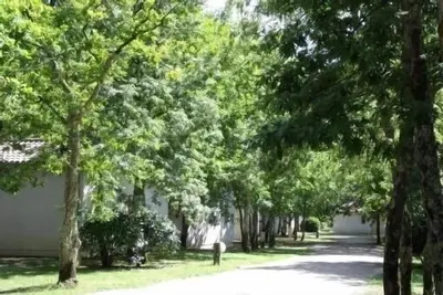 Image de Charmante maison dans domaine boisé avec piscine à 500m de la plage