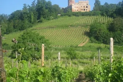 Image de Maison De Charme 3*** En Alsace Sur La Route Des Vins A Kintzheim