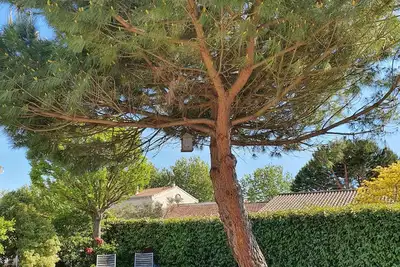 Image de Charmante maison avec jardin clos, proche de la mer ou du centre du village