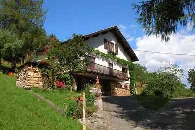 Image de Gîte  \"les Mélèzes\"  en Alsace (dans la Vallée de Munster)